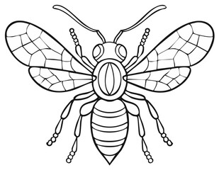 Obraz premium Black and white outline illustration of a detailed bee with spread wings and antennae