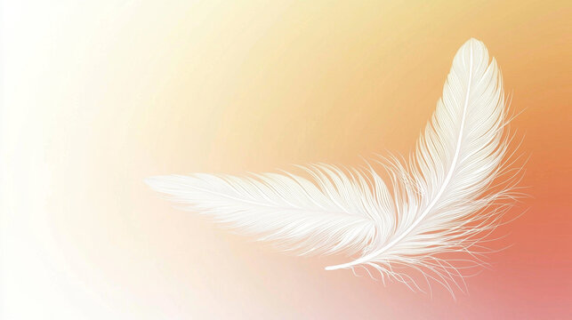 Delicate white feathers on a soft, peachy-orange gradient background
