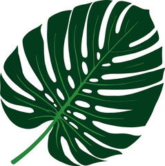 Tropical Green Palm Leaf PNG – Minimal Flat Vector Isolated