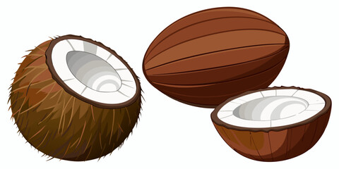 A realistic, high-resolution image of a coconut in different stages of being opened, placed on a clean white background. The image includes one whole brown coconut with a rough, fibrous shell; a half 
