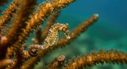close up view of a grass
