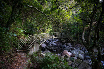 Beautiful trail with bridge across river hidden in the forest, in New Taipei City, Taiwan.