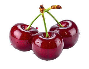 Close-up of three ripe cherries.  Dark red, glossy, and plump.  Stems and leaves are visible