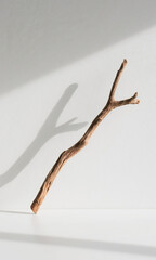 Obraz premium Rustic wooden branch with a distinct shadow, creating a simple and elegant natural still life composition on a white background