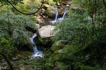 Stunning waterfall hidden in the forest, falling nearby the giant rocks, in Keelung city, Taiwan.