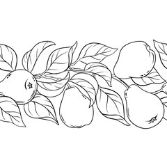 Pear Branch with Flowers, Fruits and Leaves Outline Horizontal Seamless Pattern. Organic natural nutritional healthy food ingredient, vegetarian diet product. Vector isolated for design or decoration.