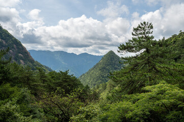 Beautiful view on the trail of Mount Huangshan, gorgeous rocks and strange pine in the mountain, in Anhui Province, China.
