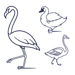 Vector art of a delightful assortment of three bird illustrations, featuring a flamingo, a swan, and a duck, each depicted with simple yet elegant lines, ideal for a range of creative applications
