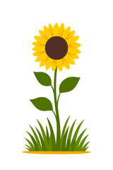 Sunflower Illustration Vector | Yellow Floral Decorative Artwork