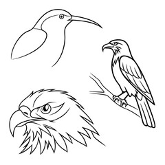 Collection of stylized black and white line art illustrations of birds including a hummingbird an eagle perched on a branch and an eagle head