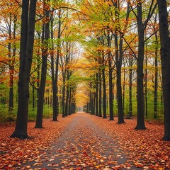 Fototapeta premium Pathway through a mesmerizing forest dressed in autumnal colors and foliage