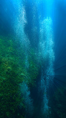 Oxygen bubbles from the deep in rays of light. Underwater photography art.