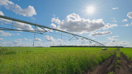 An Irrigated Field Under Beautiful Sunny Skies with a Modern Sprinkler Irrigation System