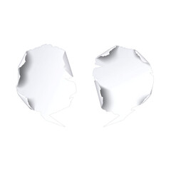 Two pieces of paper with a tear in the middle