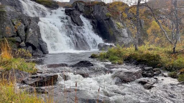 scenic view on stream flowing accross autumnal landscape in norway with yellow foliage trees in forest in national park Anderdalen- Senja island