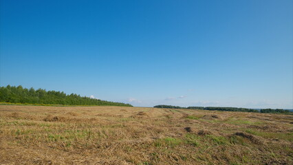 Obraz premium A Vast and Spacious Open Field Spreading Out Beautifully Under a Clear and Bright Blue Sky Overhead