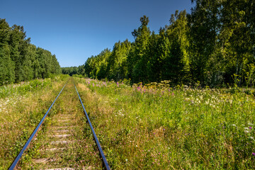 Obraz premium An abandoned narrow-gauge railway in the woods in summer.