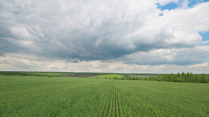 Fototapeta premium Lush green fields beautifully spread beneath a dramatic, expansive cloudy sky, an ideal scene