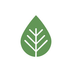 Green leaf icon with veins on white background nature
