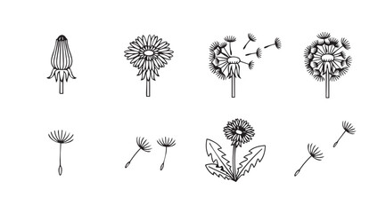 Collection of dandelion seed head silhouettes in various stages of dispersal