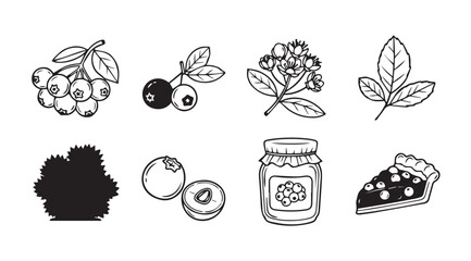 Collection of hand drawn blueberry illustrations and a slice of blueberry pie silhouette