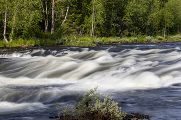 Mountain stream white foam long exposure tree background