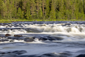 Mountain stream white foam long exposure tree background