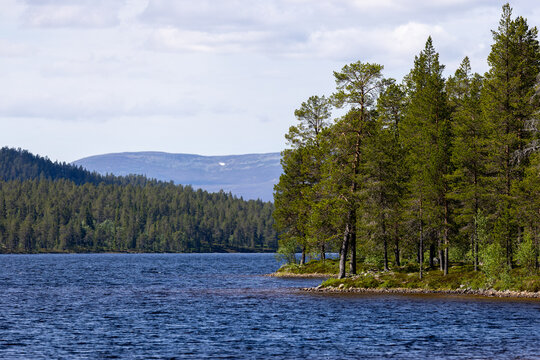 Nordic wilderness nature background with mountain lake and pine trees