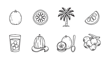 Collection of hand drawn coconut fruit and palm tree silhouette illustrations