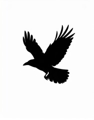 Raven Silhouette Against White Background Showing Flight and Freedom in the Sky