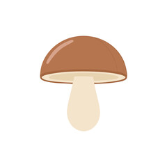 Brown Mushroom with Cream Stem on White Background