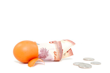 Broken egg with currency note and coins isolated on white background close-up view, Business and financial concept background photography