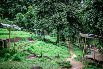 natural backdrop with large mountains surrounding it,a clear sky with clouds flowing through, cool breeze blowing through the viewpoints at famous tourist attractions.An adventure during the journey.