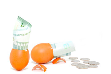 Cracked egg shells with currency notes closeup view on white background, Business and financial concept background photography