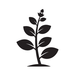 Simple Black Silhouette of a Growing Plant with Leaves and a Bud
