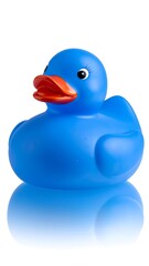 Blue rubber ducky, bath toy, white background (1)