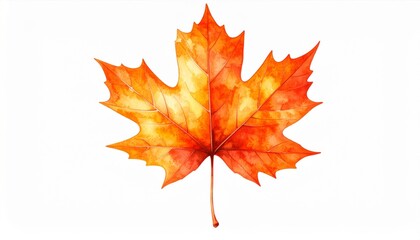 Obraz premium Vibrant Watercolor Maple Leaf in Autumnal Shades of Orange and Yellow on White