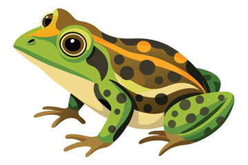 Colorful Cartoon Frog Illustration Vibrant Amphibian with Intricate Patterns and Playful Design Depicting a Lively Green Frog