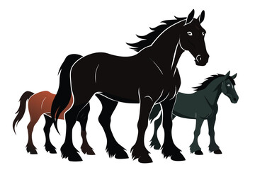 Three Horses of Different Colors Standing Together A Group of Animals in a Herd on White