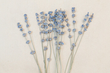 Mini dried lavender bouquet placed at center of kraft paper vintage background