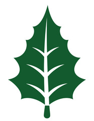Stylized Green Holly Leaf with White Veins christmas