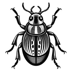 Intricate Engraving of a Scarab Beetle Detailed Black and White Illustration of an Insect with Elaborate Markings and Design