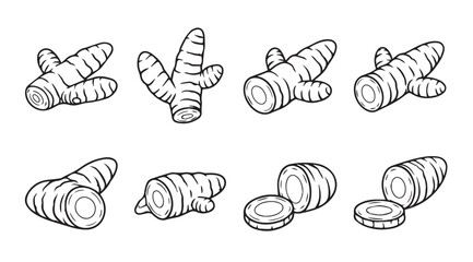 Collection of turmeric root illustrations in silhouette style
