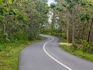 Winding road through lush green forest. Empty asphalt road in jungle forest.