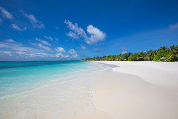 Gorgeous tropical island paradise with palm trees, calm ocean lagoon and blue sky horizon, peaceful exotic beach perfect. Summer vacation, travel and tropical nature background. Dream wall art tourism