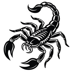 Monochrome line art scorpion vector illustration with intricate details and bold outline