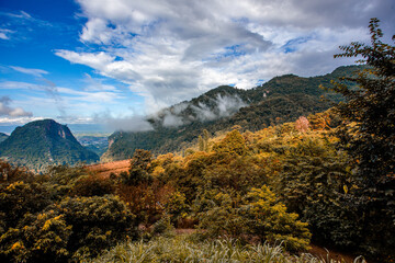 The close background of the green rice fields, the seedlings that are growing, are seen in rural areas as the main occupation of rice farmers who grow rice for sale or living.