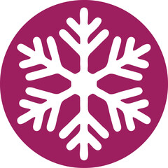 snowflake icon  simple icon. Vector ICON all icon Viktor