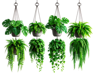 Four hanging planter displays featuring lush greenery.  Each features multiple types of plants in light gray/cement-colored pots, suspended by brown twine
