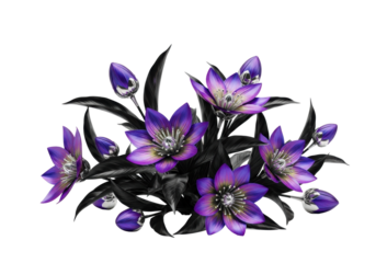 Architectural composite flowers with iridescent violet petals, metallic cores, jet-black leaves, and geometric buds on transparent background, crisp shadows, concept of futuristic engineered botany